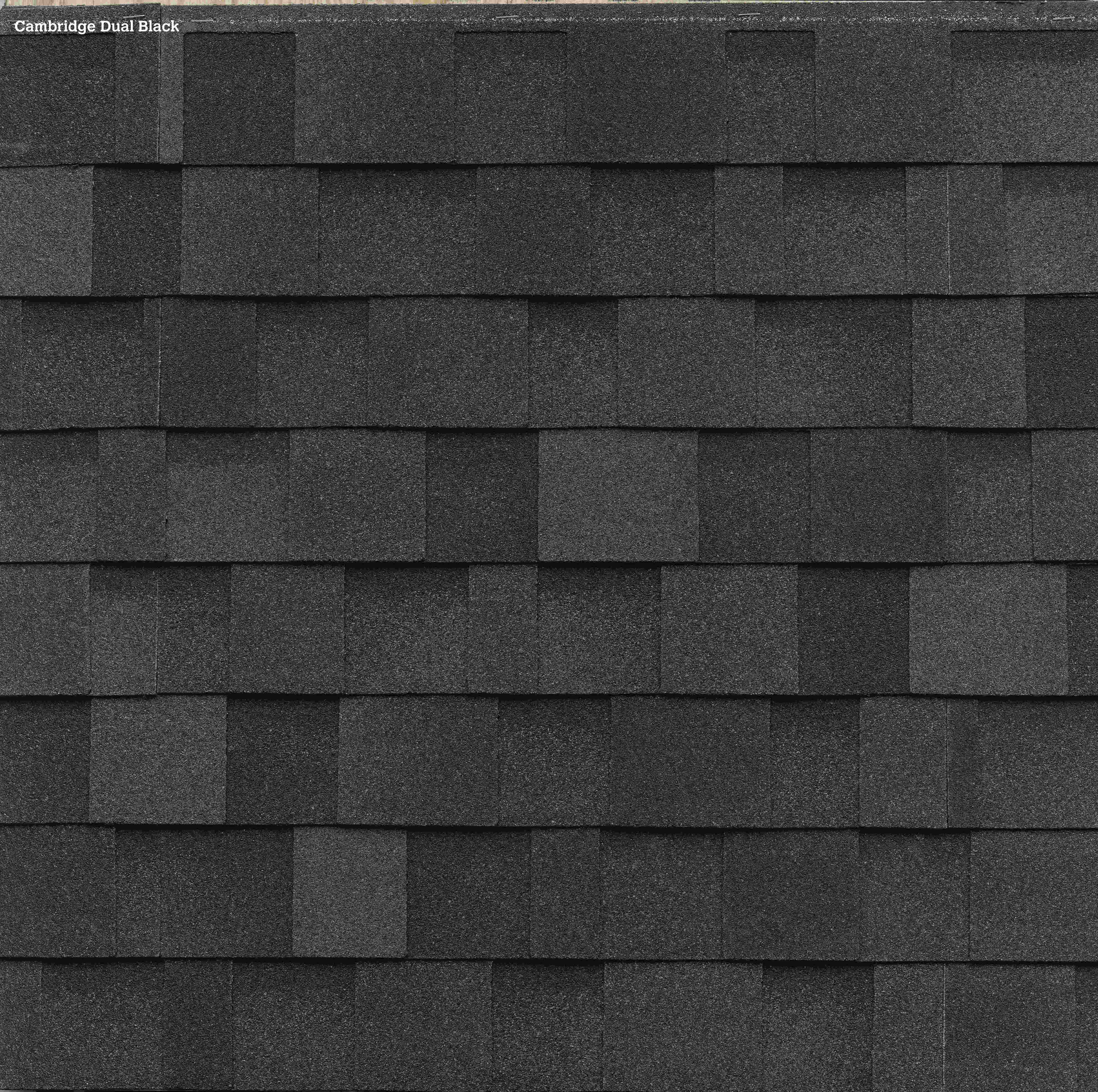 Dual Black Shingle Color