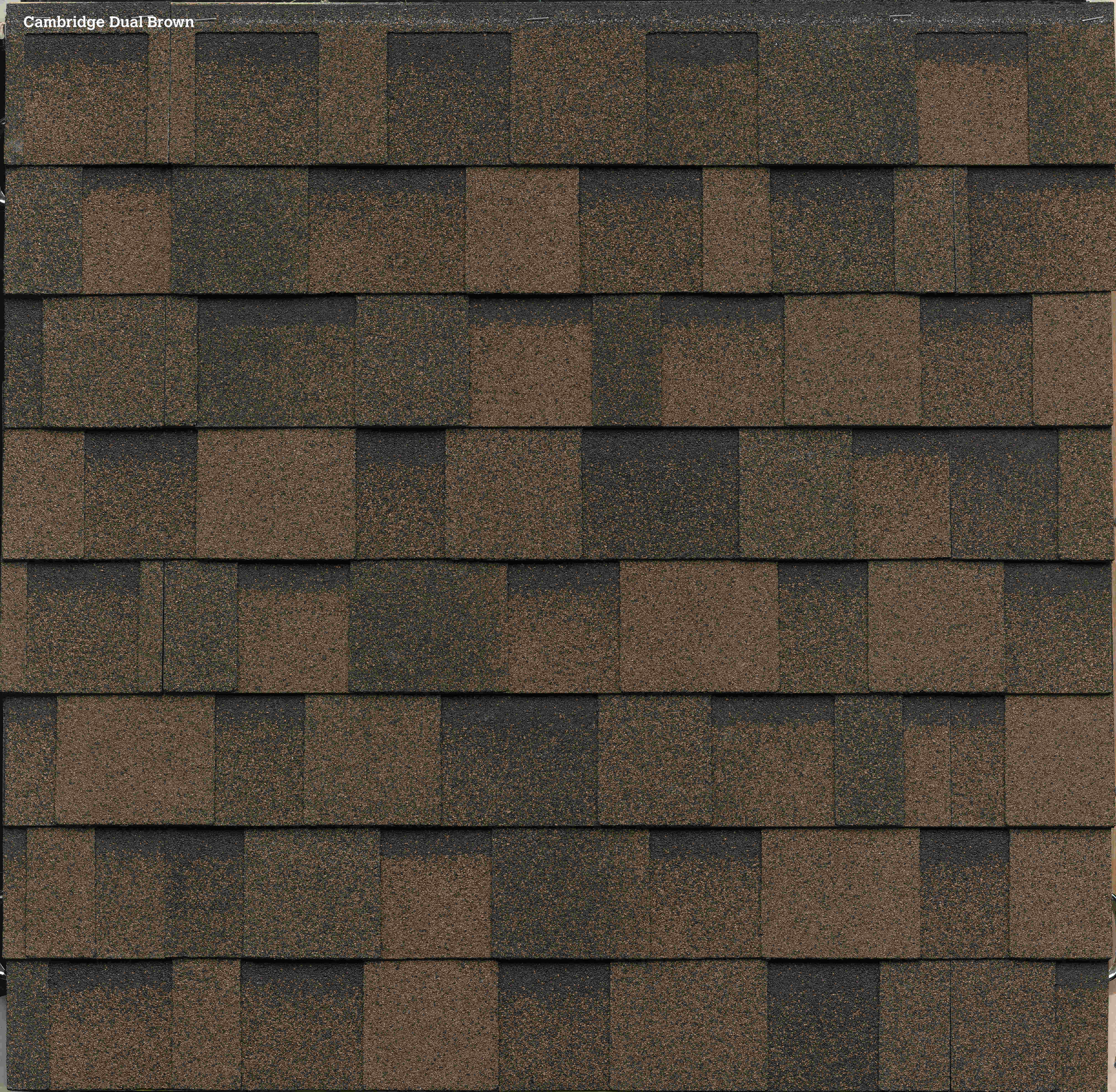 Dual Brown Shingle Color