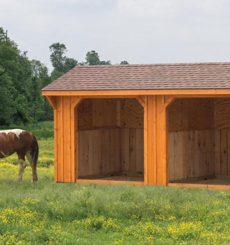 Brown wood Run-In Shed with 2 separate stalls and 2 horses grazing outside the shed.