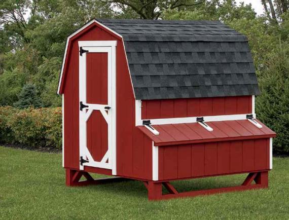 Dutch Chicken Coop