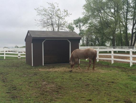 Run-In Sheds