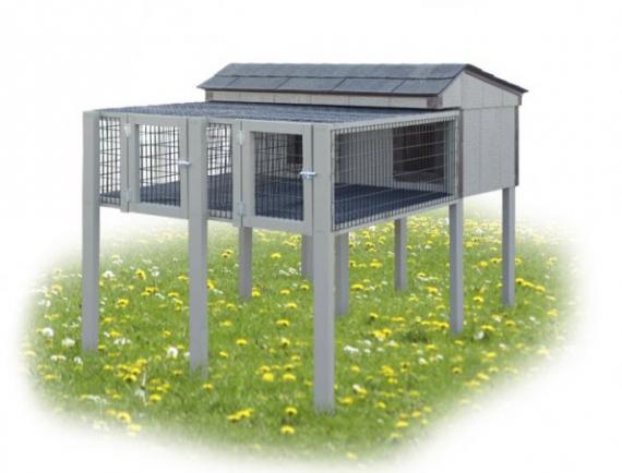 rabbit dog kennels