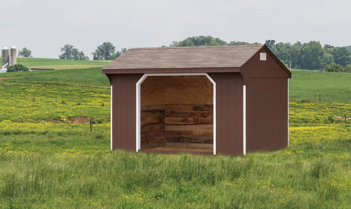 Wood Run-In Shed painted dark brown with white trim and brown roof.
