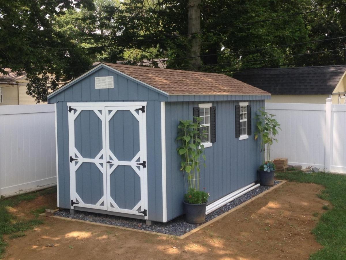Standard Cottage Shed with blue siding, white trim, windows with black shutters, and a brown asphalt roof sits in a fenced-in backyard.