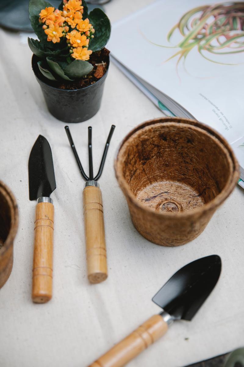 Clean gardening tools and yellow flowers in pot.